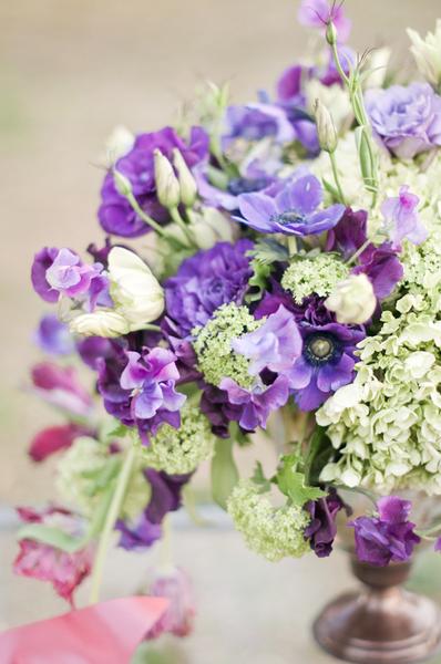 purple sweet peas