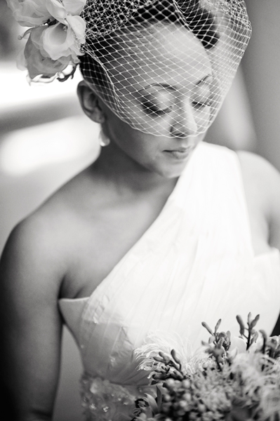 birdcage veil