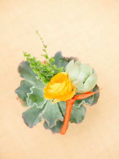 succulent bout