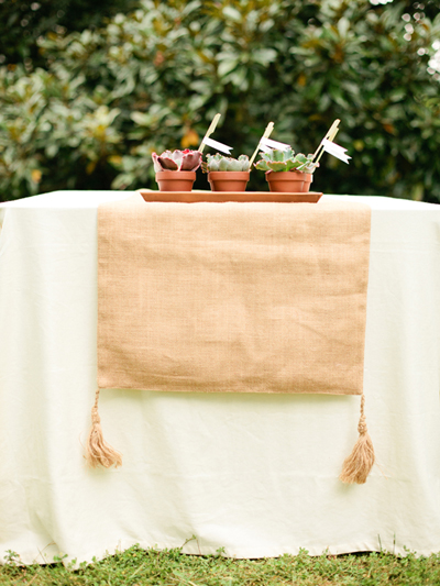 succulent favors