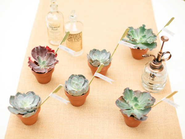terra cotta pots