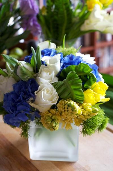 green and white parrot tulips