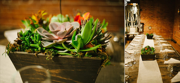 succulent centerpieces