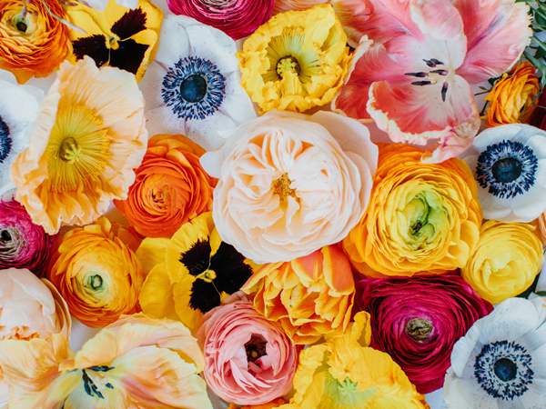 Janie Medley Flora Design, Flower Friday, Flowers
