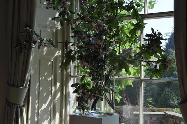 Flowering Branches