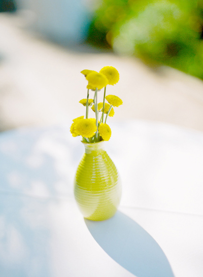 yellow vase and yellow button mums