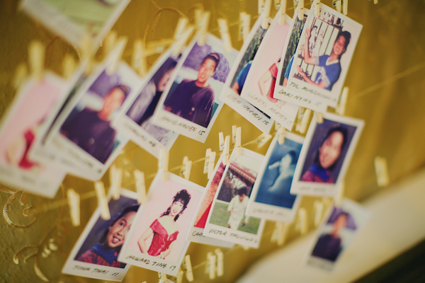 polaroids