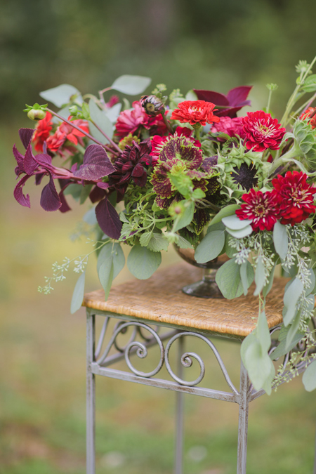 coleus
