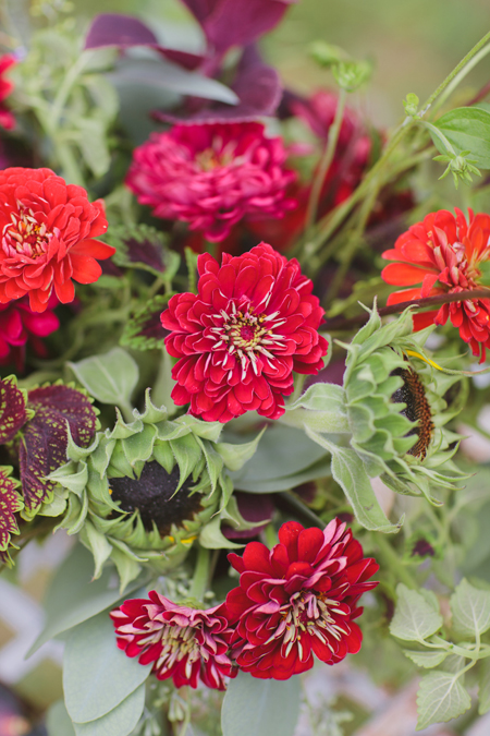 red zinnias