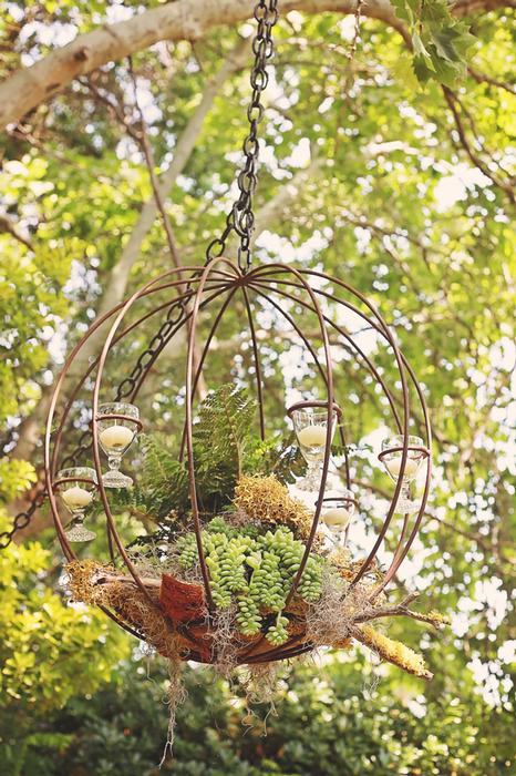 terrariums, decor