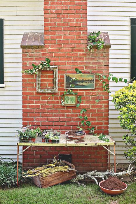 gardens, plants, succulents