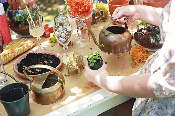 making terrariums