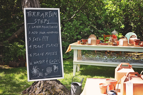 terrariums, plants, soil