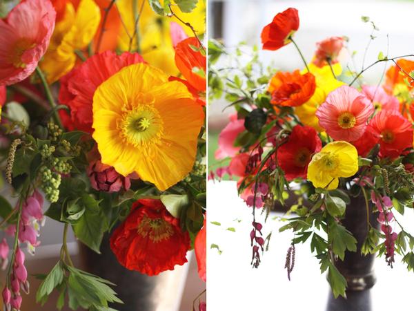 Yellow Poppies