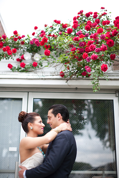 garden roses