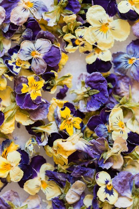 edible pansies