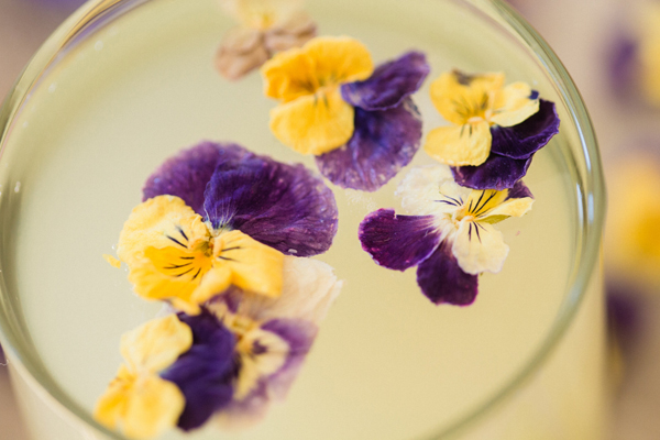 pansy ice cubes