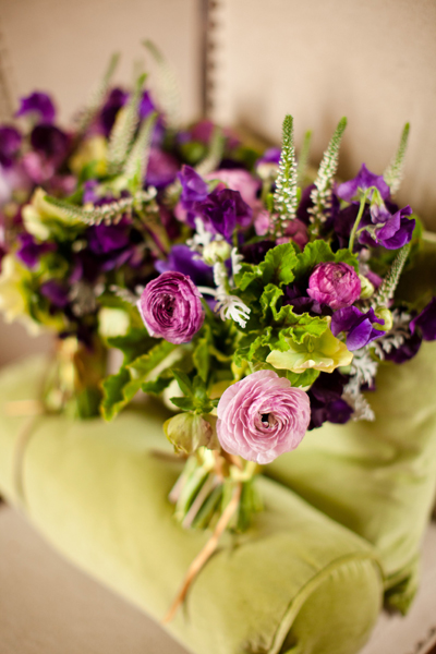 Purple Ranunculus