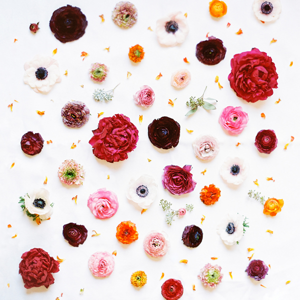 ranunculus, flower of the month, the bride