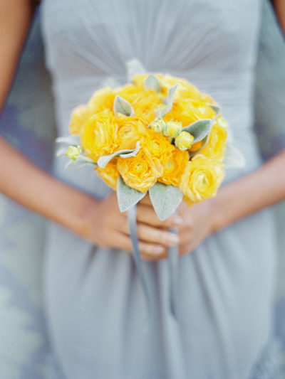 yellow ranunculus