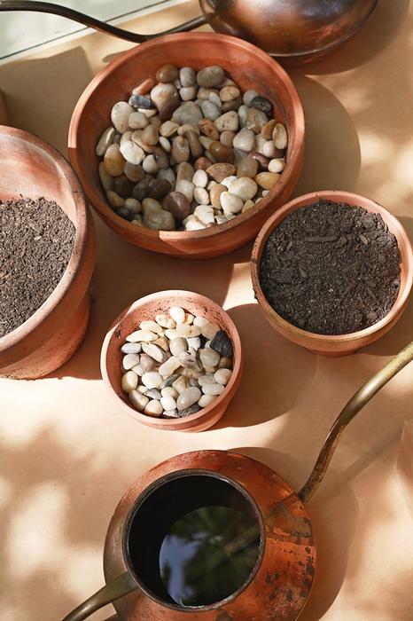 terrarium ingredients