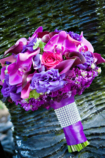 purple orchids